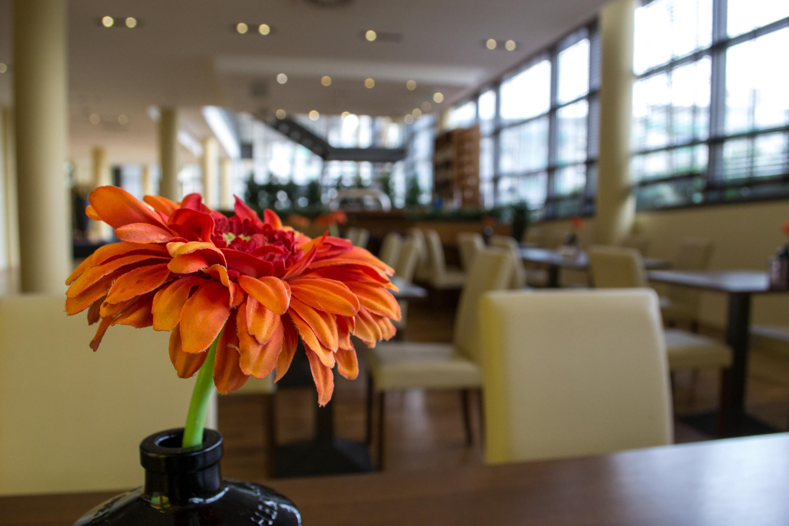 Relexa Hotel Ratingen City Düsseldorf Dış mekan fotoğraf